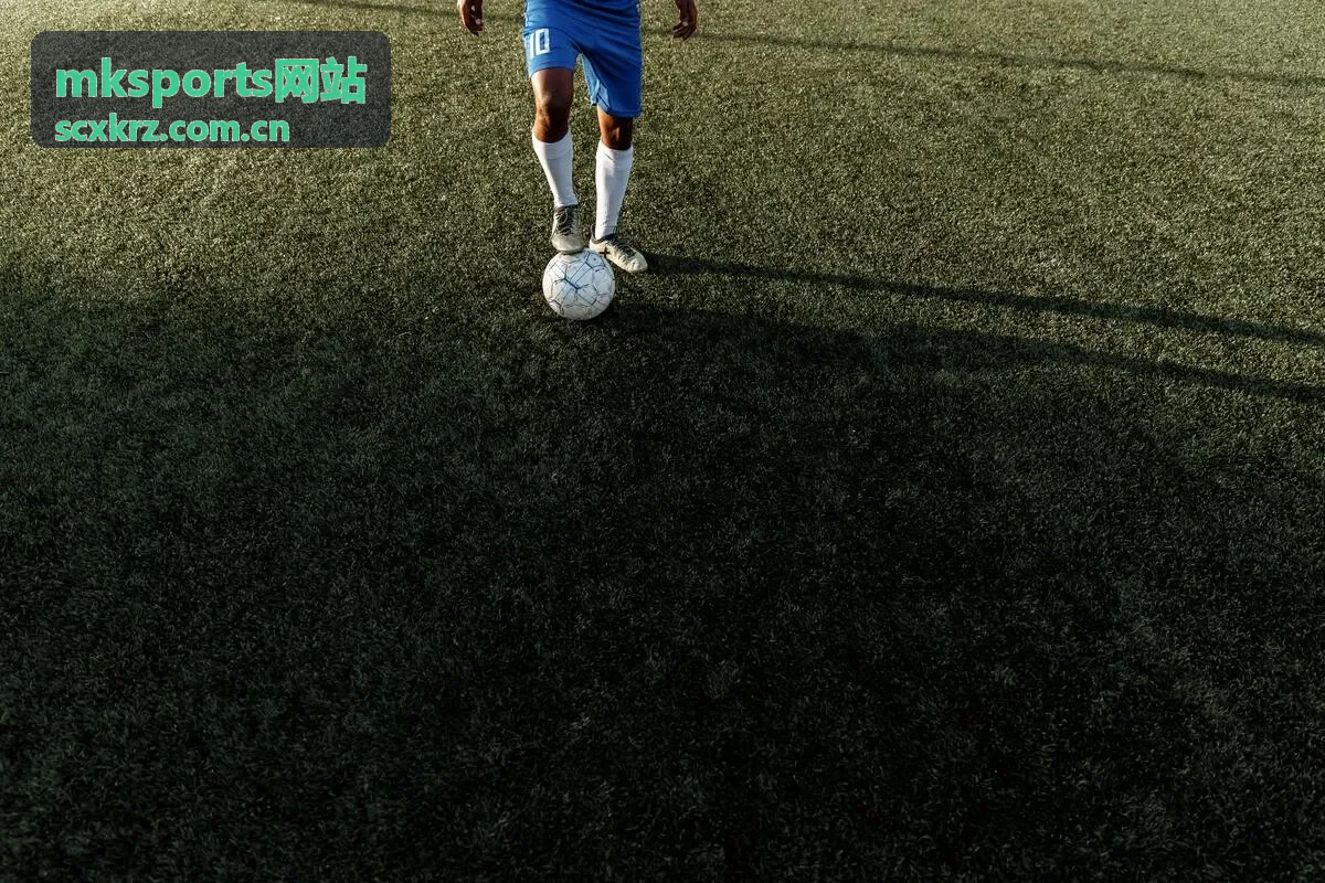 mksports网站 一周训练安排封面