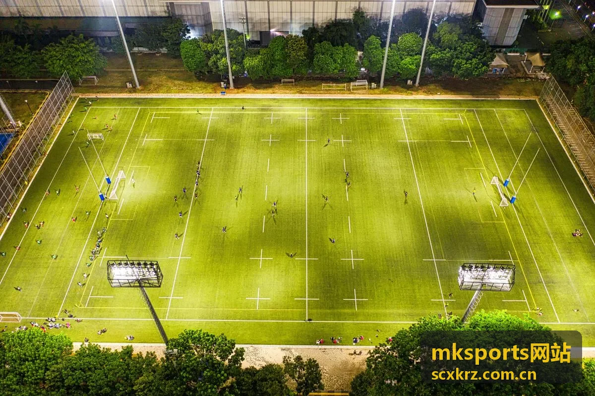 mksports网站核心稳定训练动作演示封面