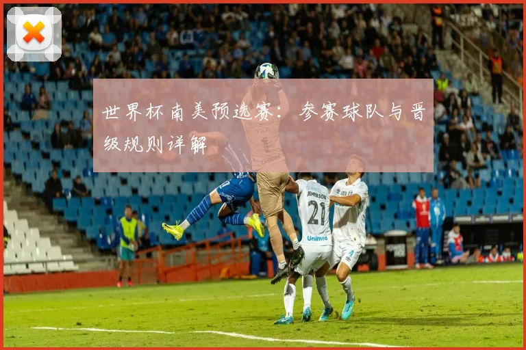 世界杯南美预选赛：参赛球队与晋级规则详解